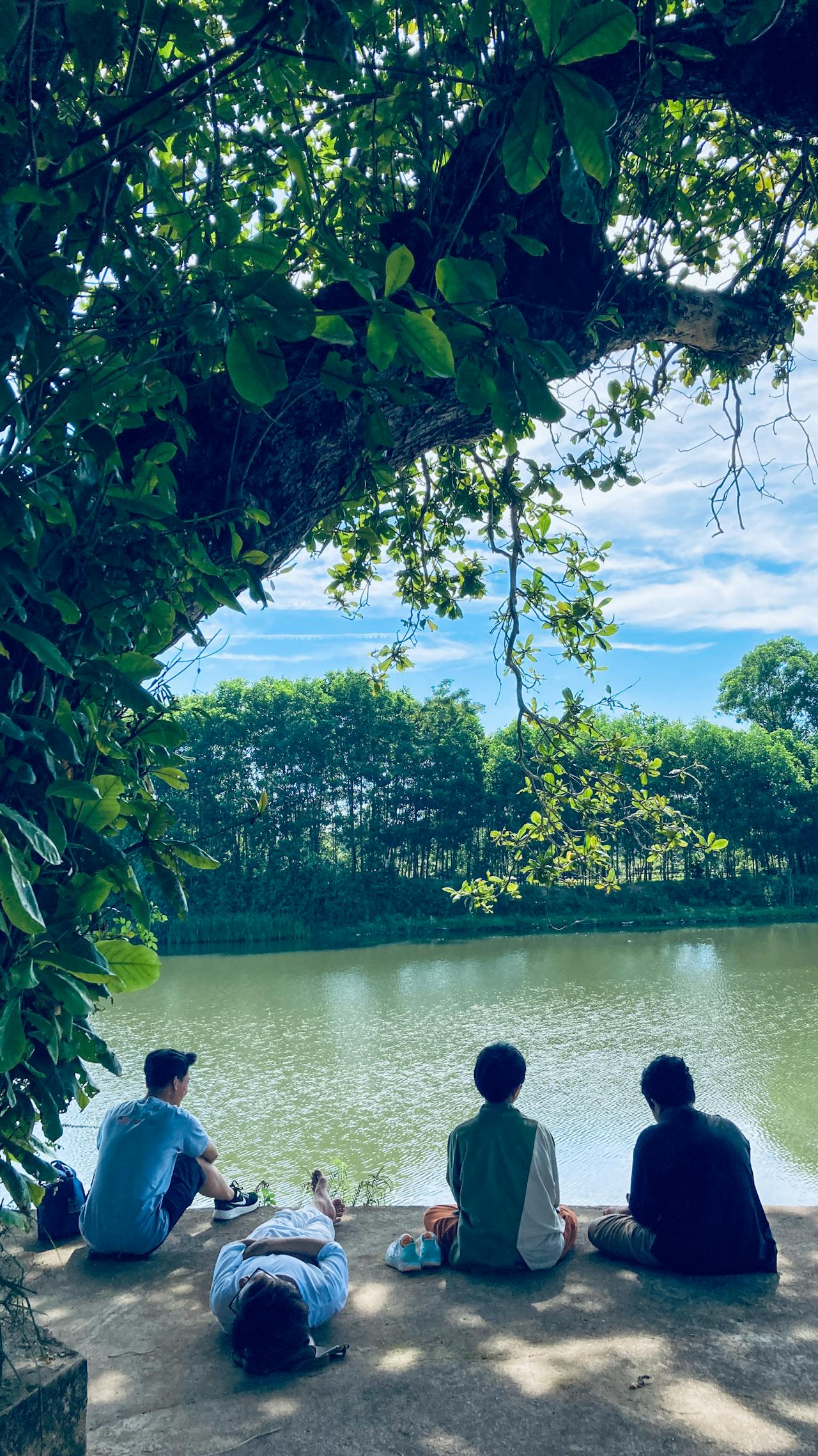 Tiêu bản thực vật trong nghiên cứu