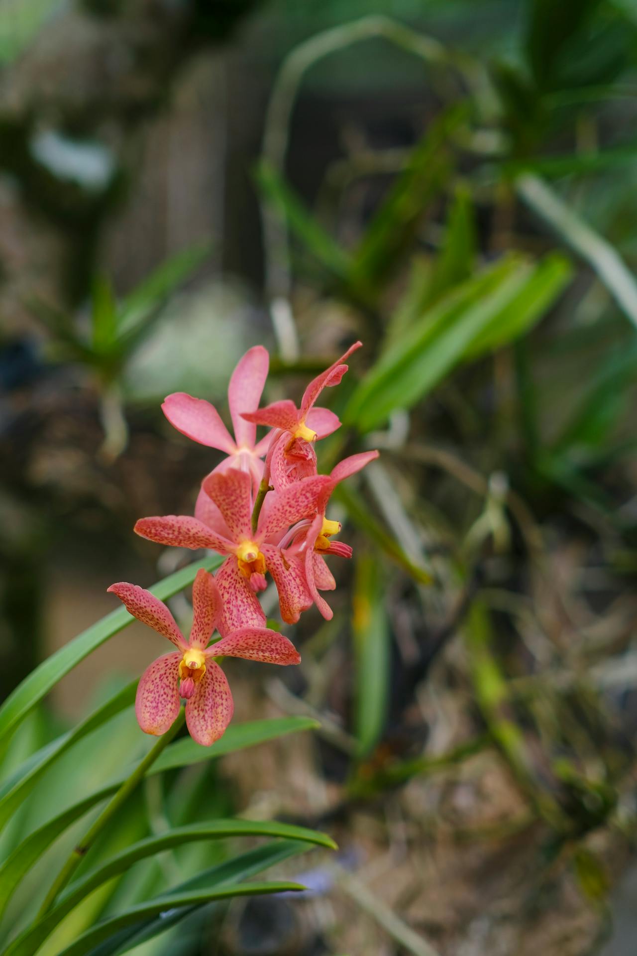 Con đã có đường đi | Chương 05