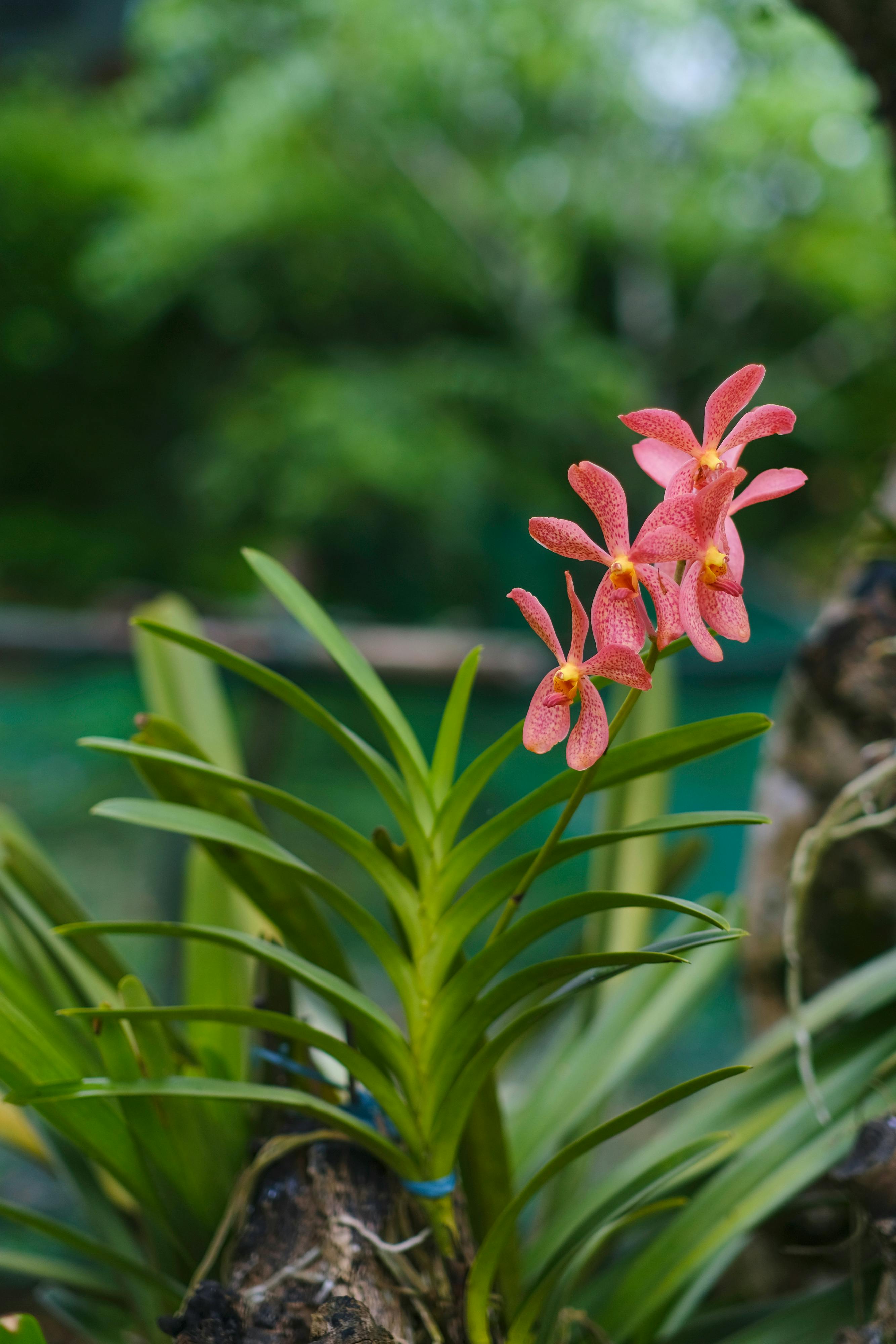 Trung tâm nghiên cứu văn học, phát triển nhà văn Việt Nam