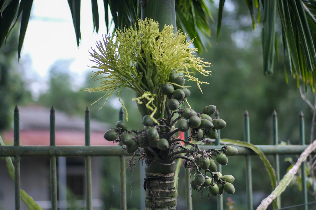 Tuyển tập viết văn năm 2019