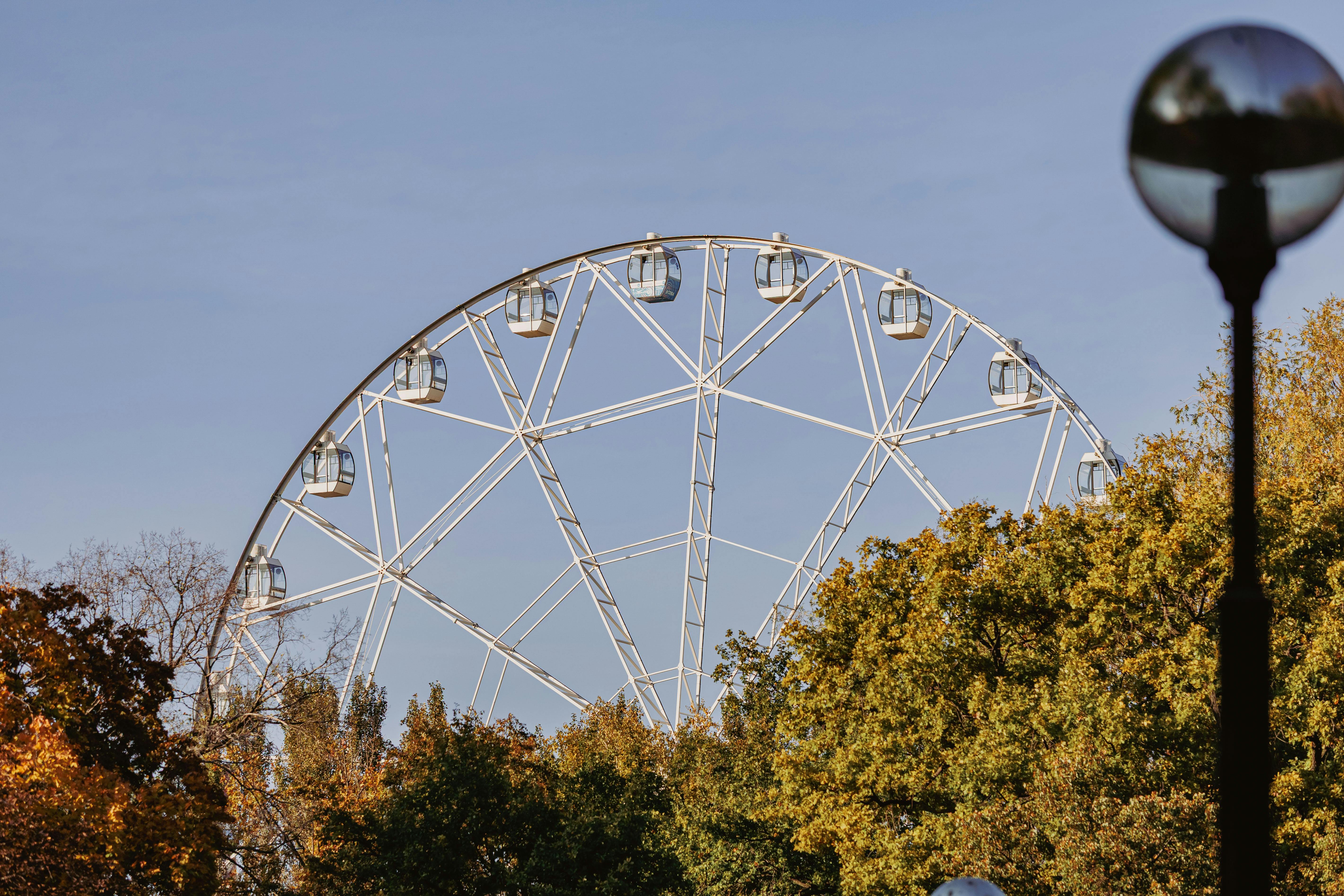 Live Entertainment and Seasonal Activities