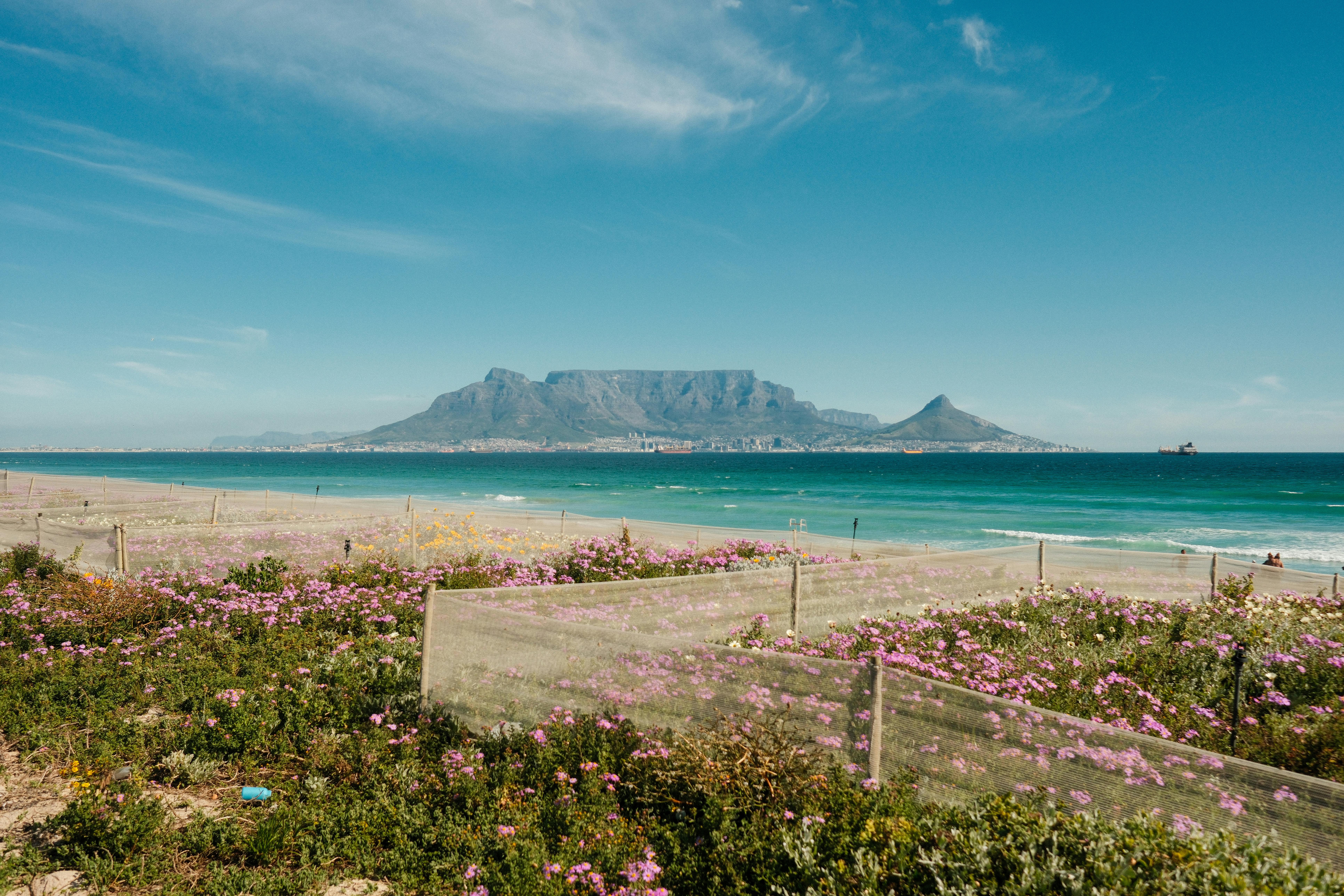 好的，请提供您需要修改的句子