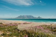 好的，请提供您需要修改的句子