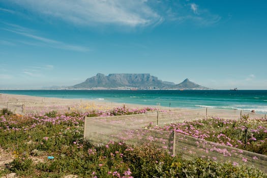 好的，请提供您需要修改的句子