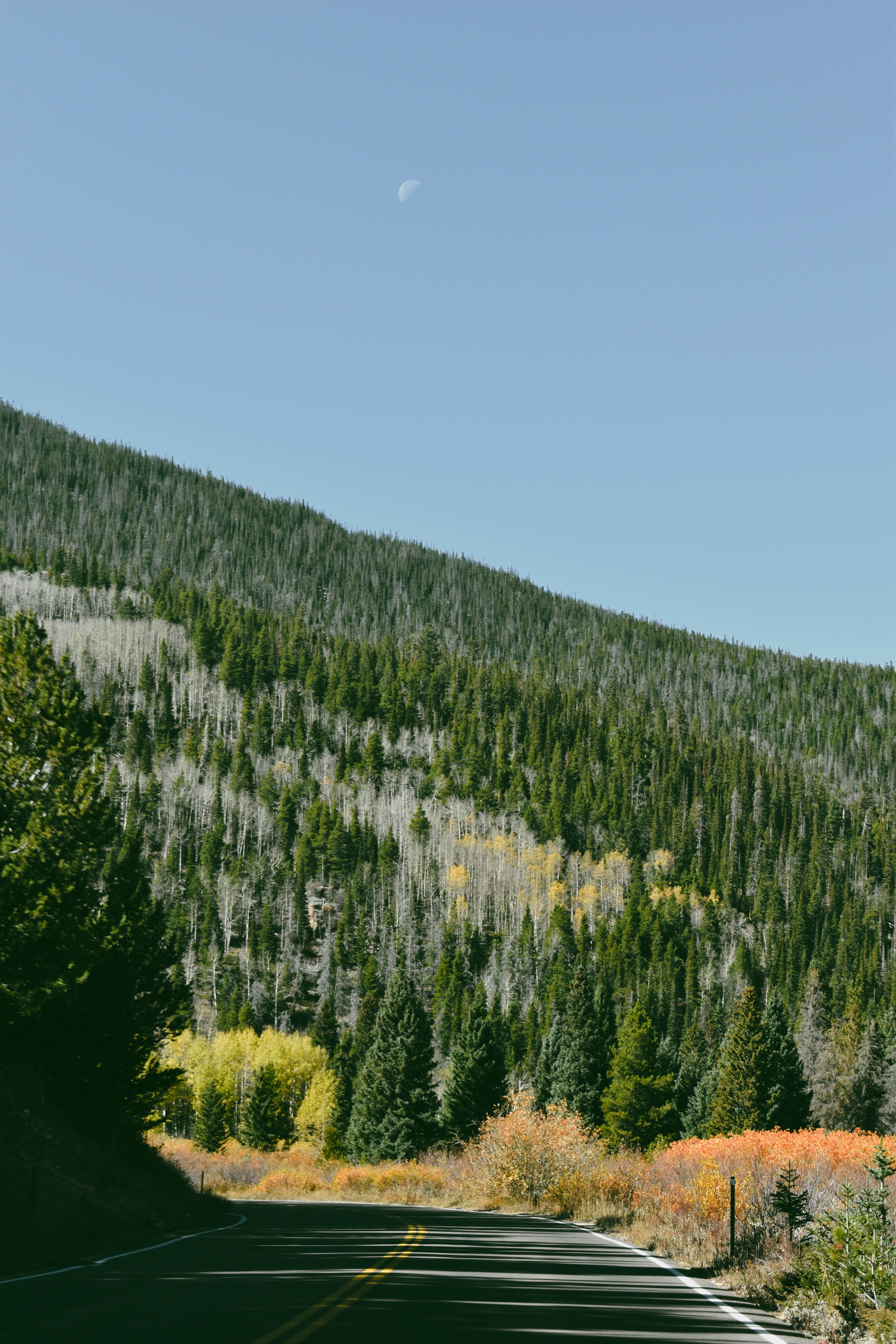 Scenic Mountain Road with Forest and Blue Sky · Free Stock Photo