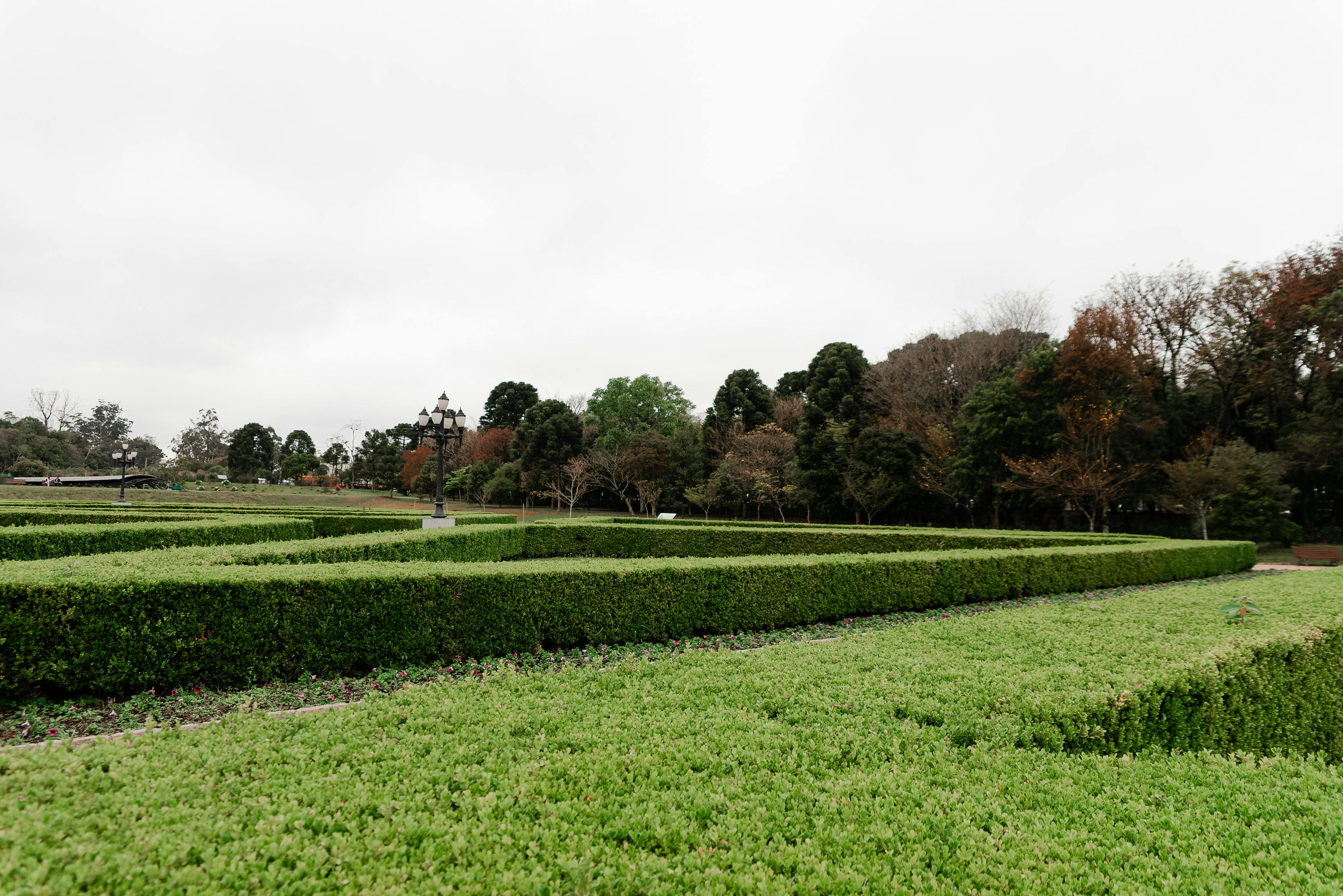 A wide shot of a manicured garden with geometric hedges and low-lying shrubs against a backdrop of trees under a gray sky.