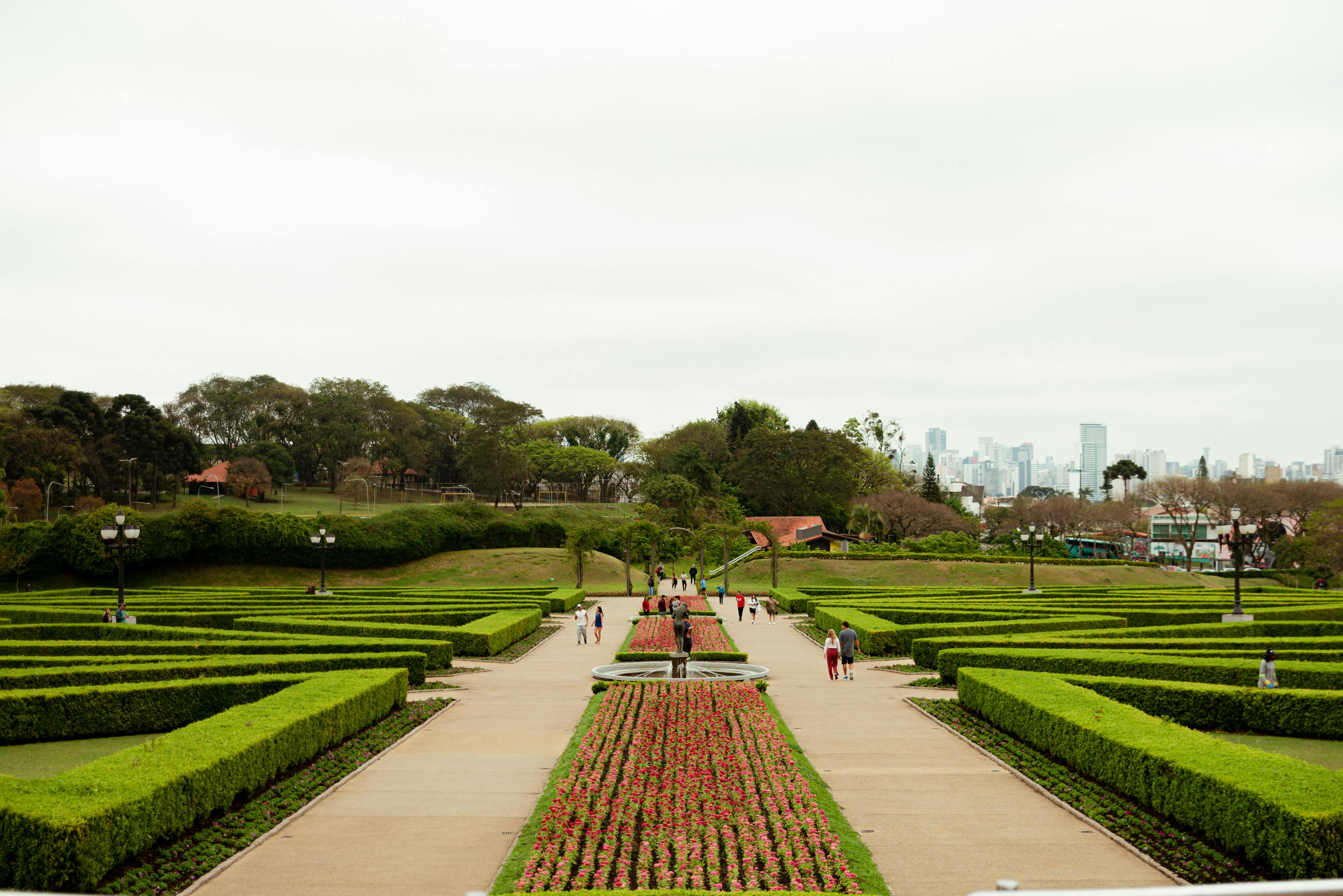 Explore the lush greenery and beautiful landscape of a botanical garden in Curitiba with city skyline in the background.