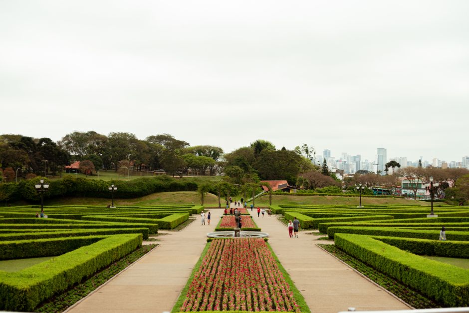 5 Dicas para Criar um Jardim de Ervas em Casa com Estilo 2 Explore the lush greenery and beautiful landscape of a botanical garden in Curitiba with city skyline in the background.