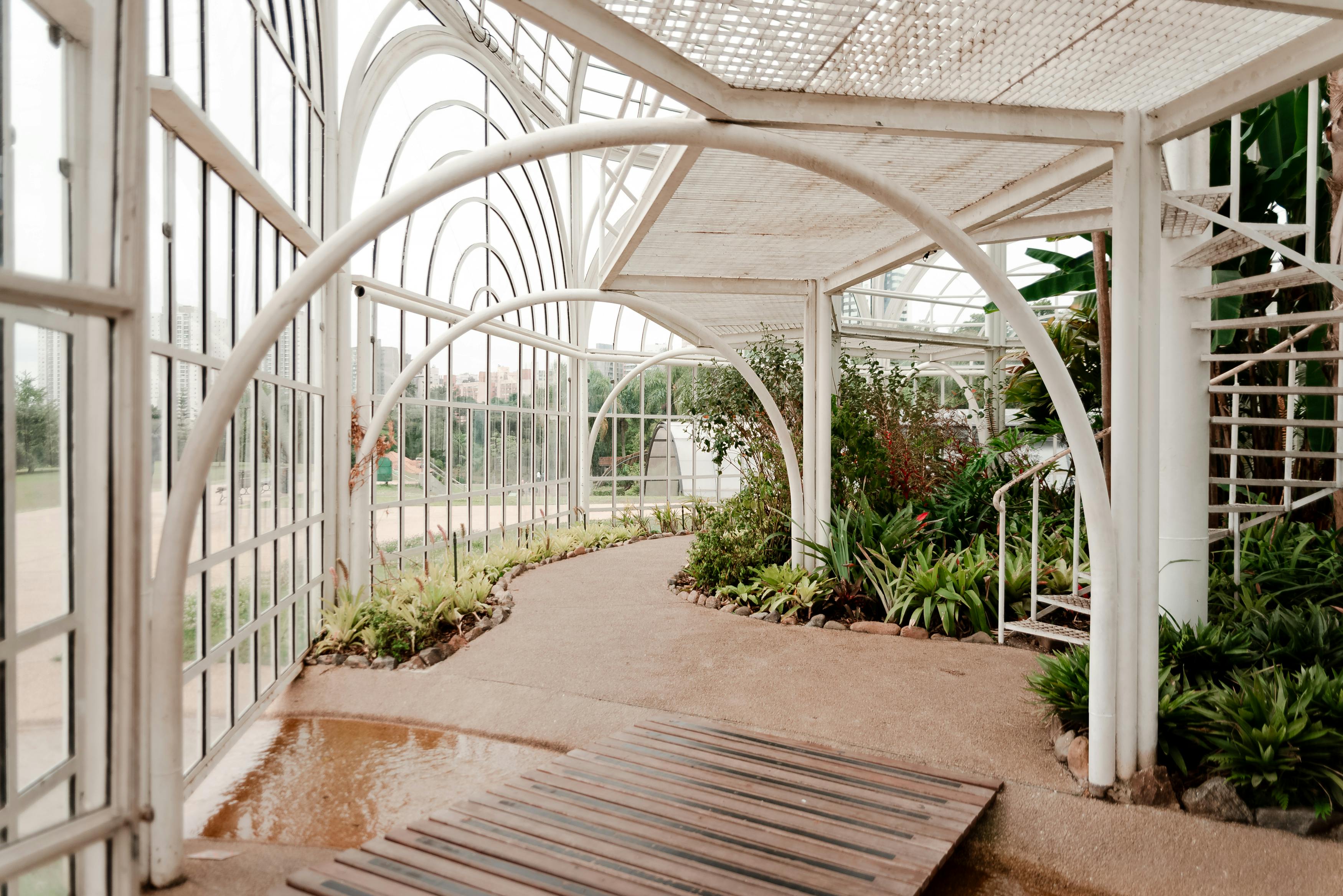 Lush greenhouse interior — over 5,000 plant species from 5 continents