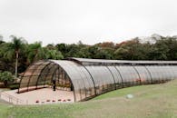 在植物园中，有一座光滑的温室结构，它周围被郁郁葱葱的热带植物所环绕