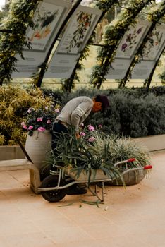 A gardener tending to lush horticultural beauty in a private botanical garden setting