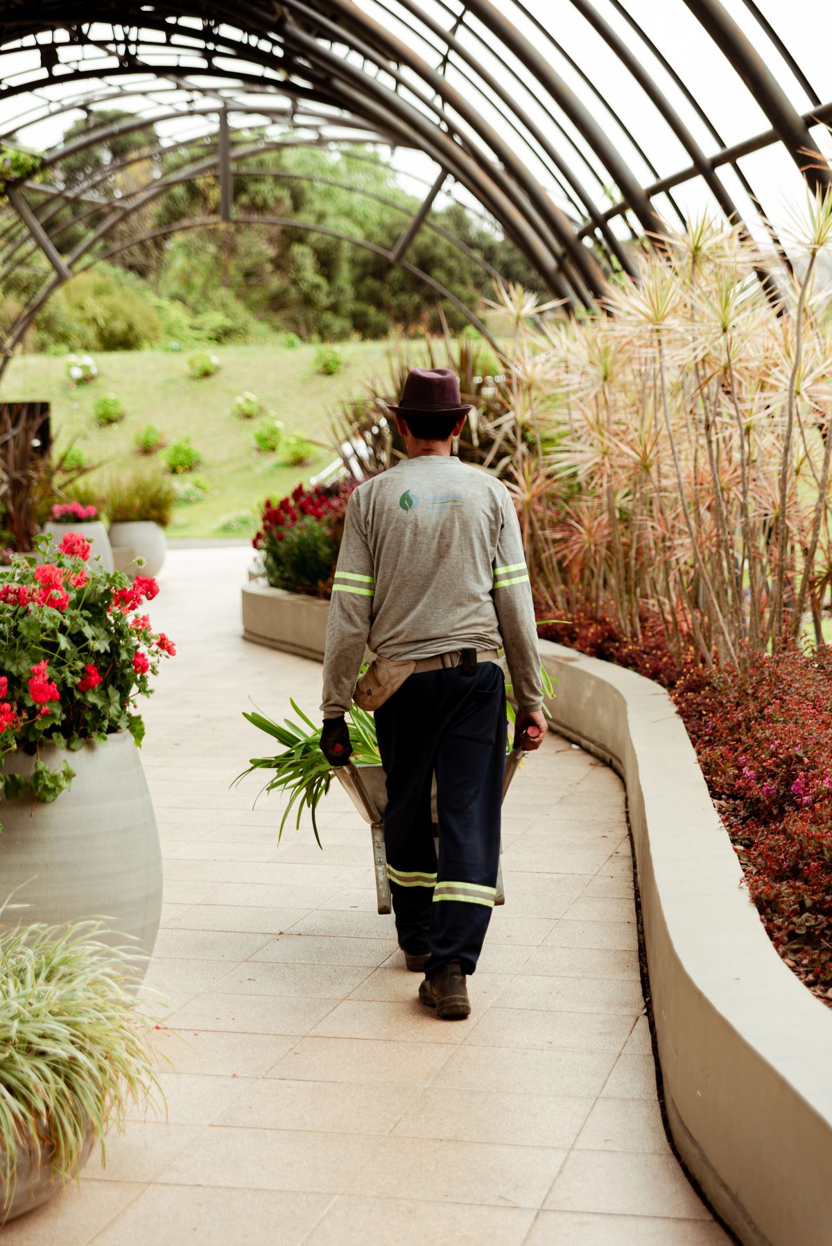 Consistently maintained landscape — the visual metaphor for always-on hosting and care