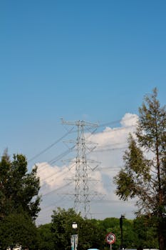 好的，请提供需要优化的句子