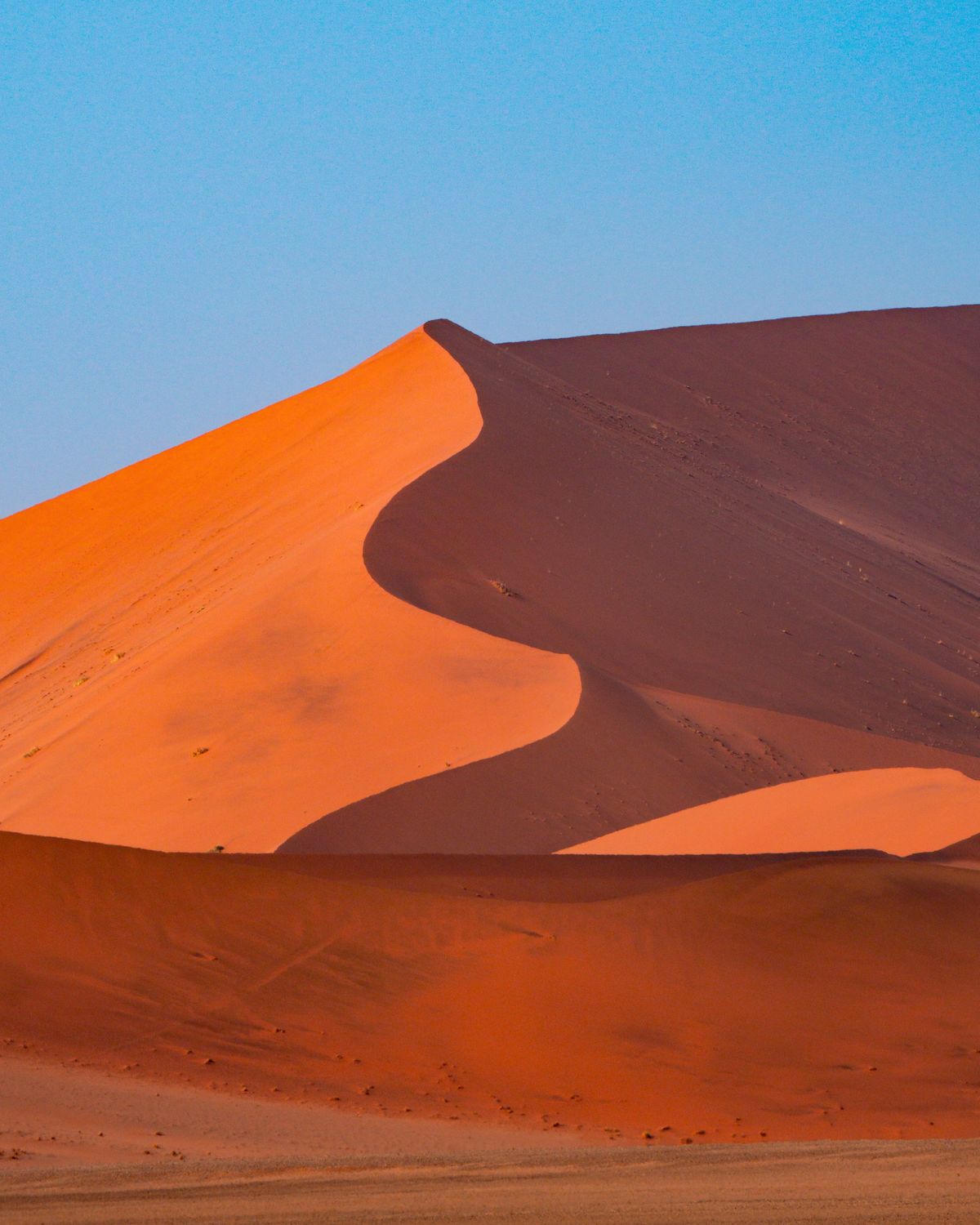 Dunes rouges de Sossusvlei dans le desert du Namib, voyage en Namibie