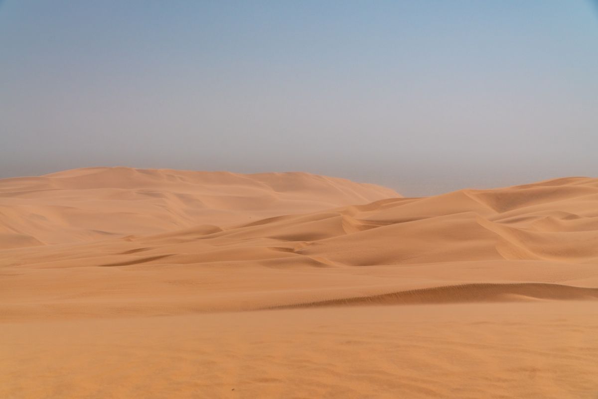Wind-sculpted sand dunes in the Namib Desert