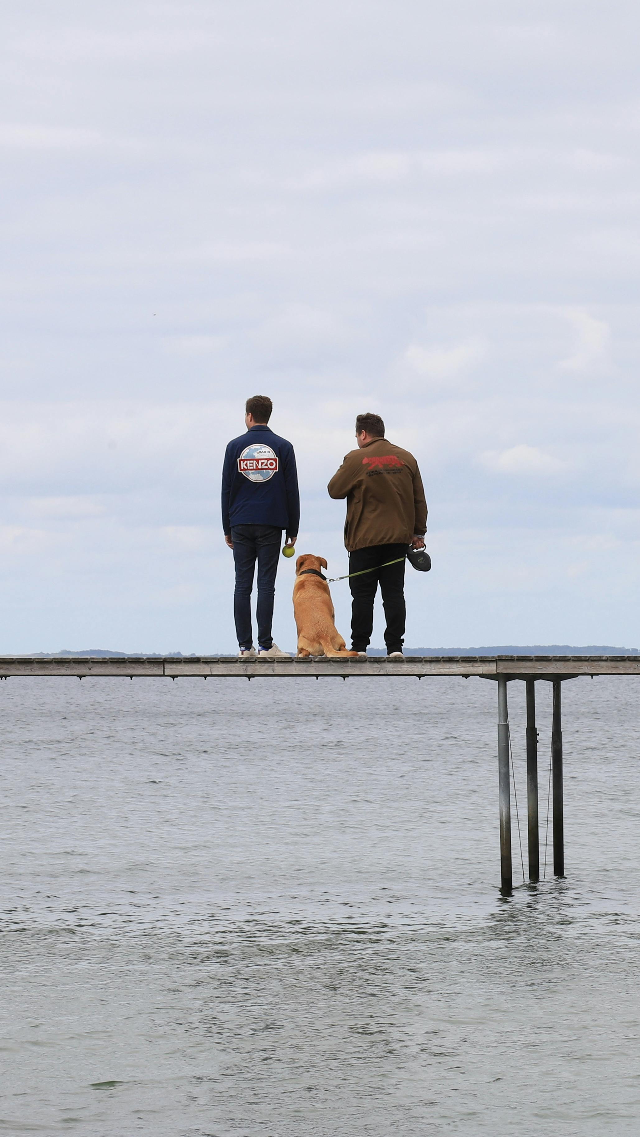 两名男子和一只狗在丹麦奥胡斯的码头上欣赏宁静的景色