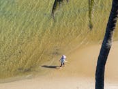 一个孩子在棕榈树下沿着阳光明媚的海滩散步，体验着宁静的夏日