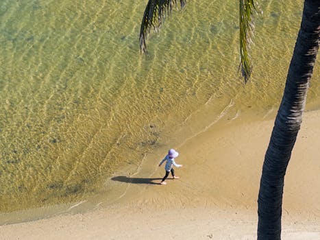 一个孩子在棕榈树下沿着阳光明媚的海滩散步，体验着宁静的夏日