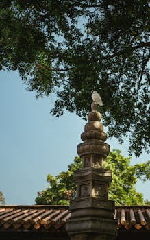 一只白鸽栖息在一座树木环绕的华丽石塔上