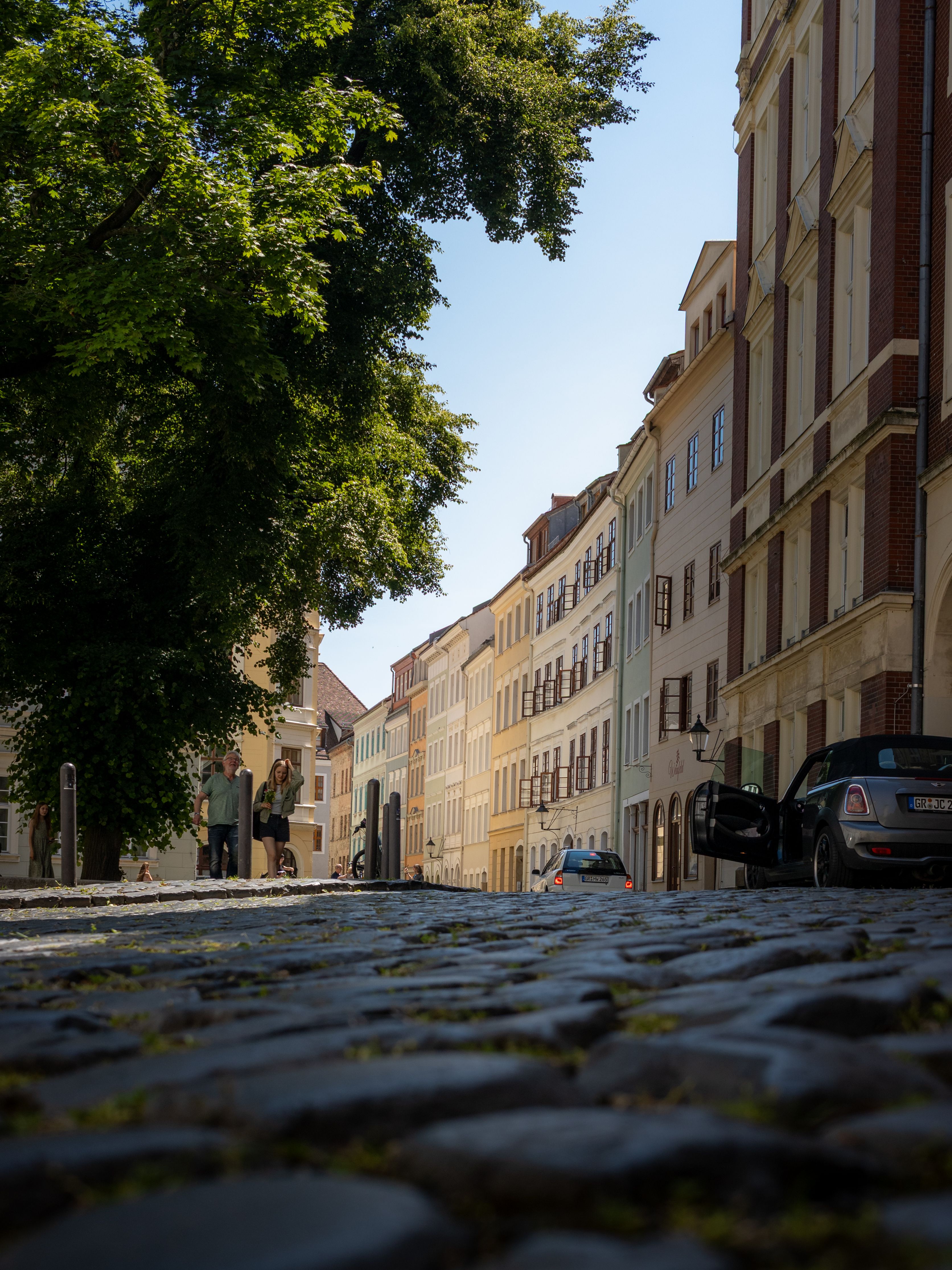 Charming cobblestone street with historic buildings and lush tree in Görlitz, Sachsen.