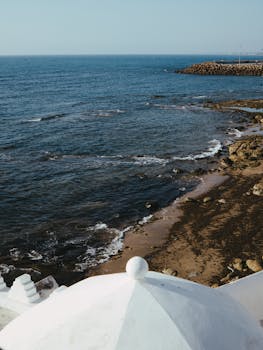 好的，我会根据您的要求进行句子的优化