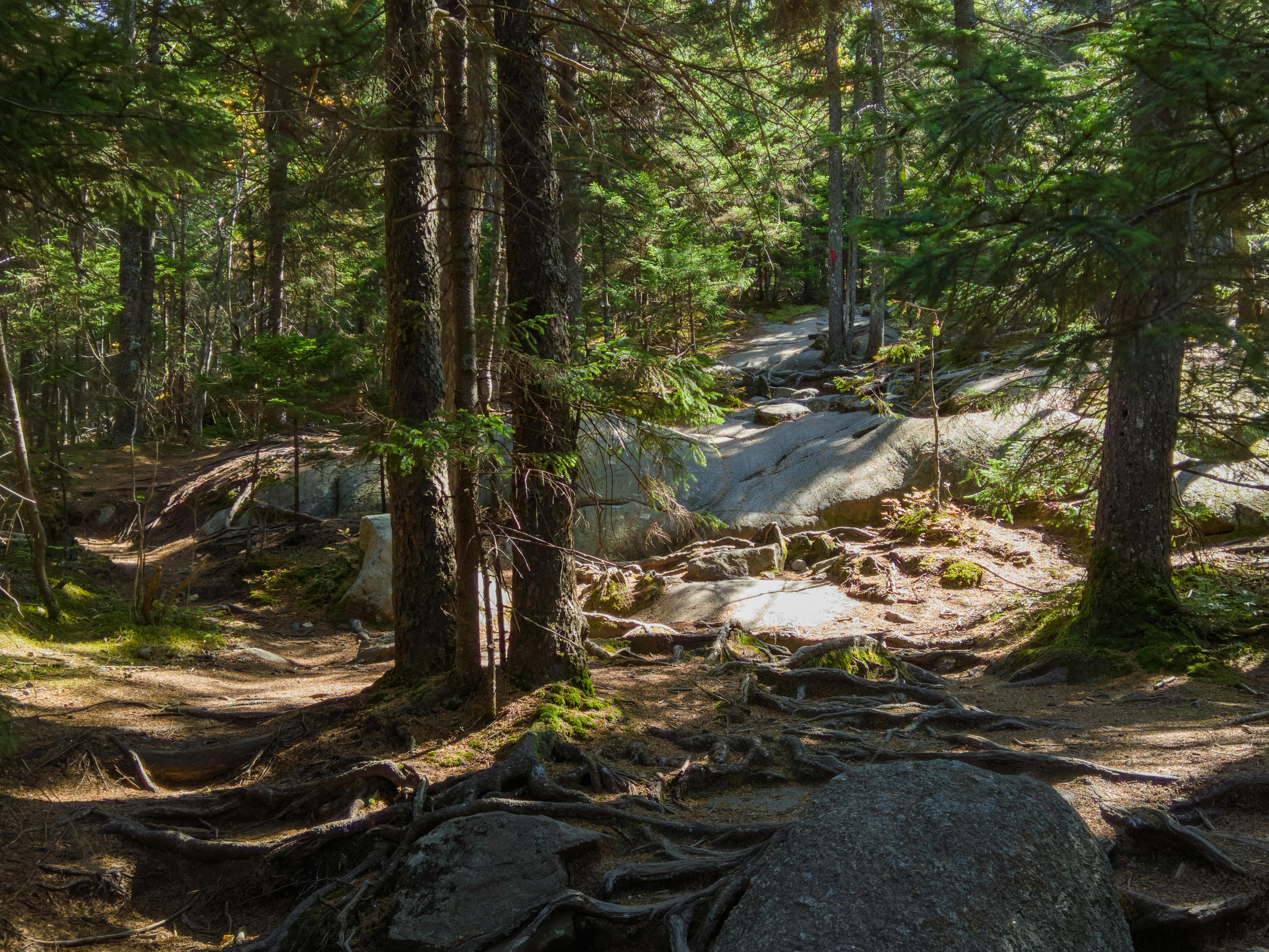 崙背羅屋庄永續生活節 深入體驗傳統文化與綠色生活