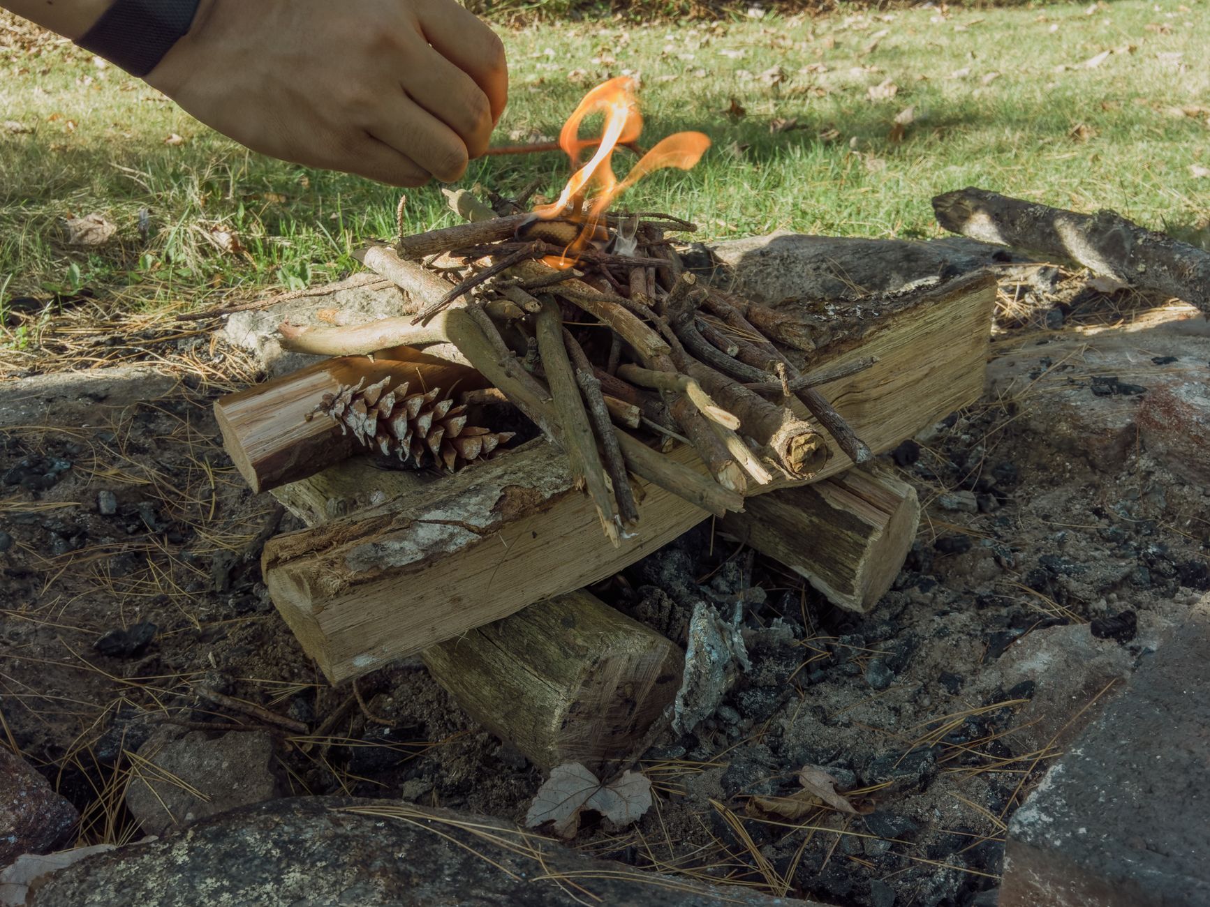 Bivouac dans les arbres