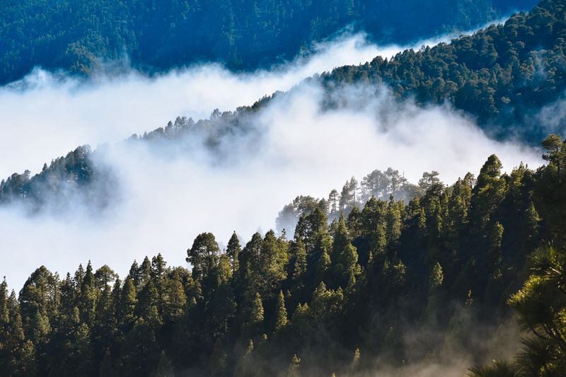 La Tigra National Park