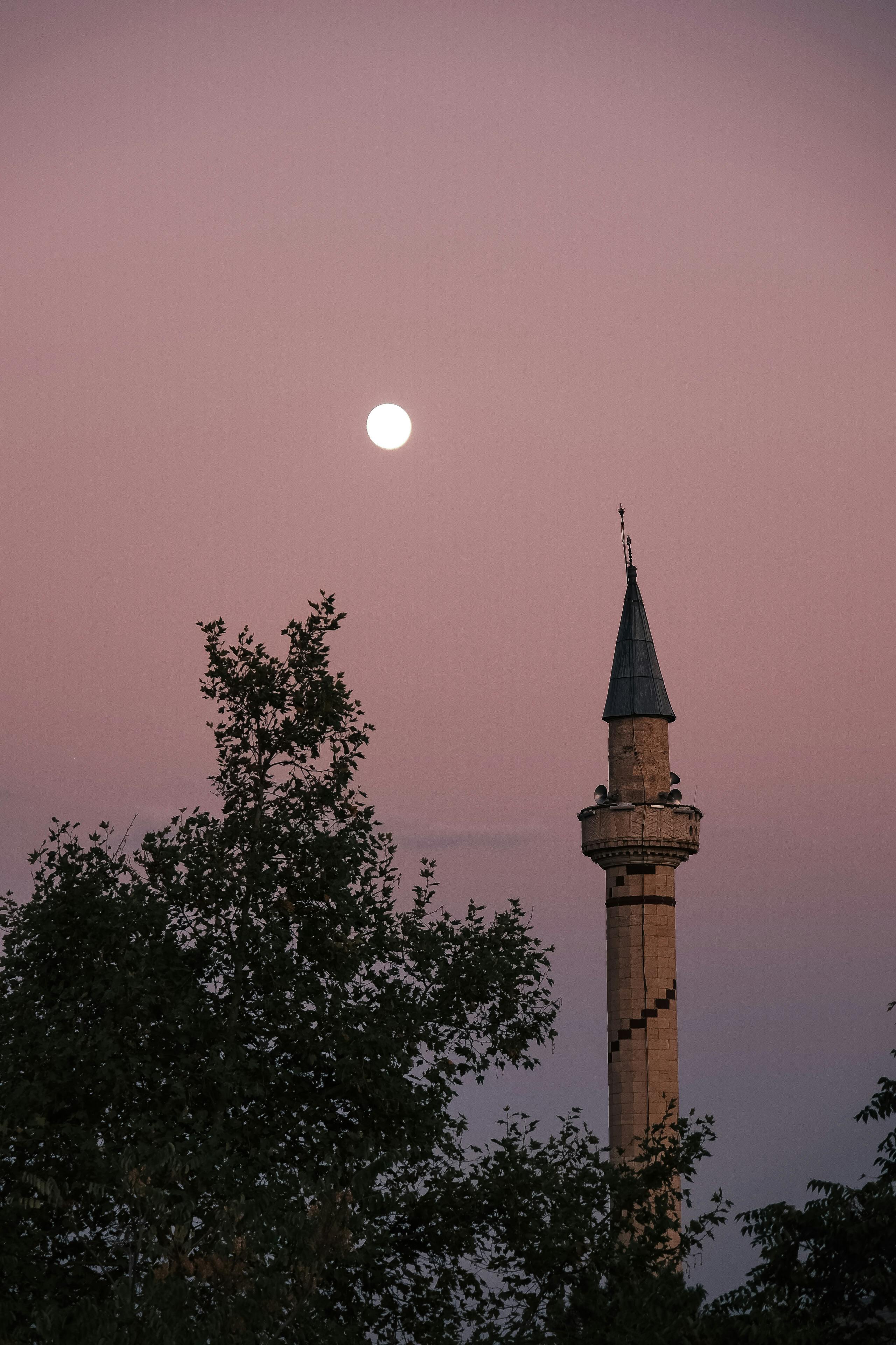 黄昏时分，清真寺尖塔的剪影映衬在月出和粉色天空的背景之下