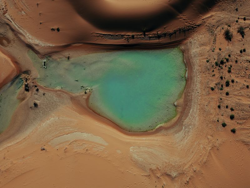 Oasis dans le désert