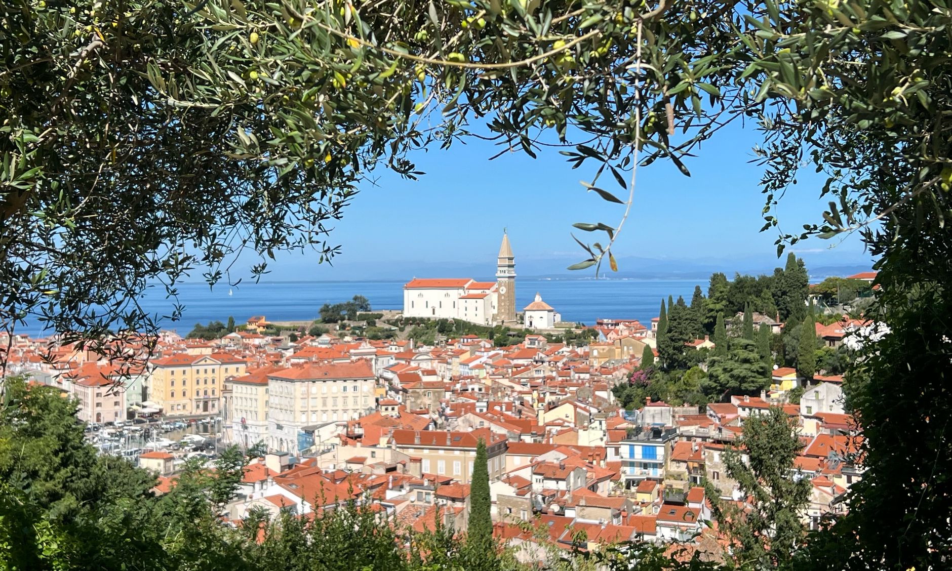 Panduan Lengkap ke Piran, Kota Tua di Pantai Adriatik Slovenia
