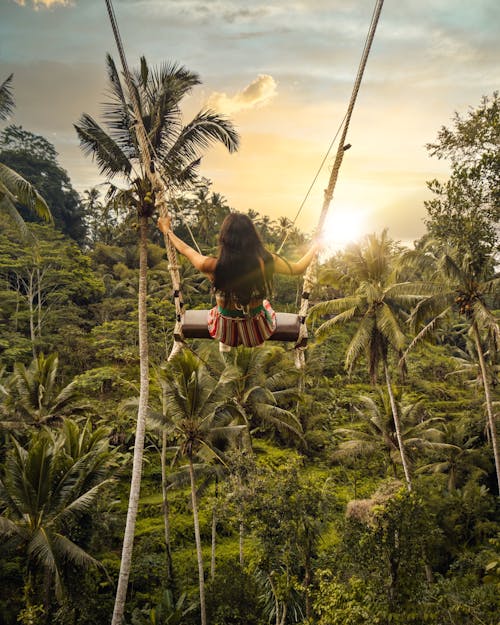 Foto profissional grátis de Ásia, aventura, balanço