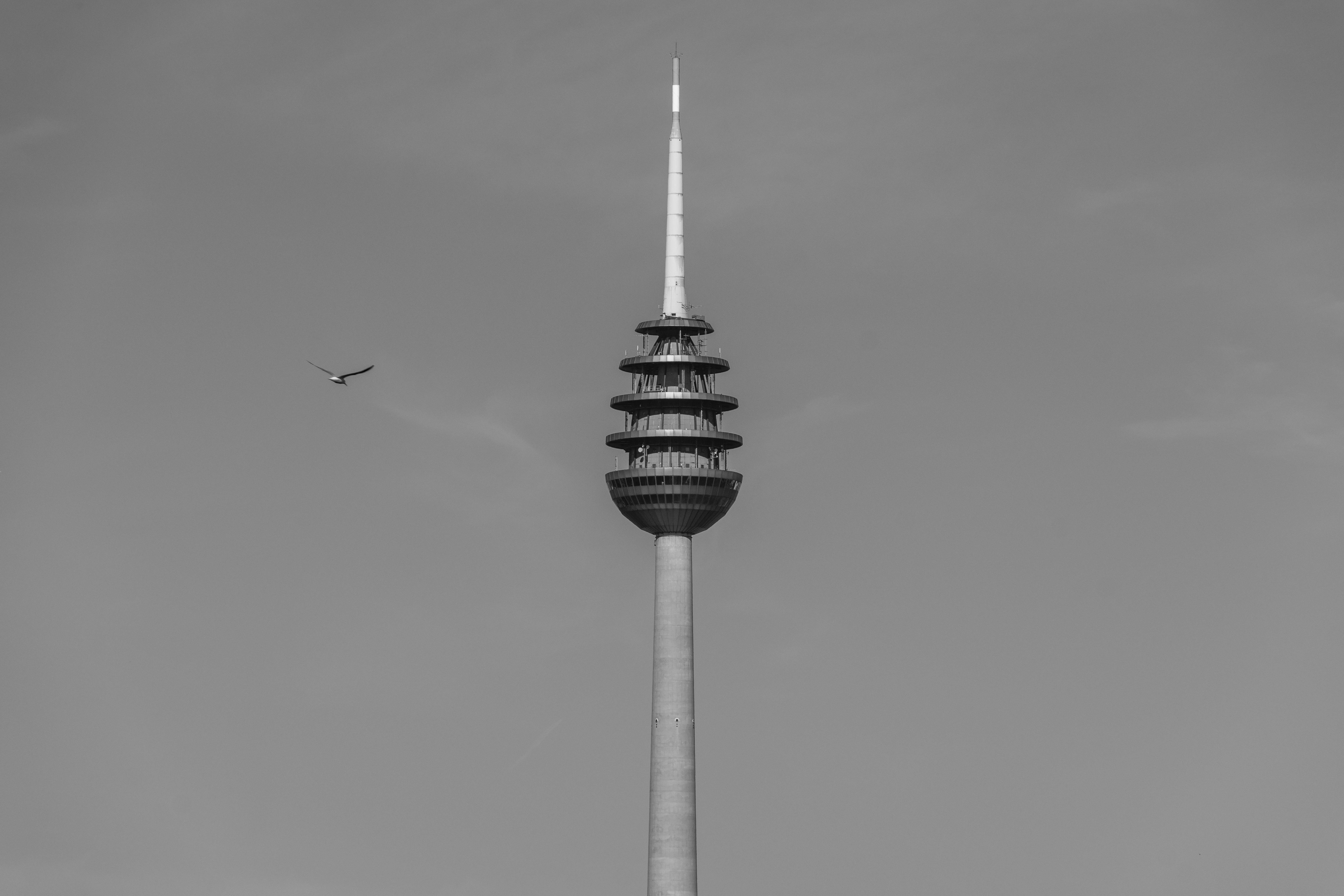 艺术黑白照片中，天空中高耸的电视塔显得格外引人注目