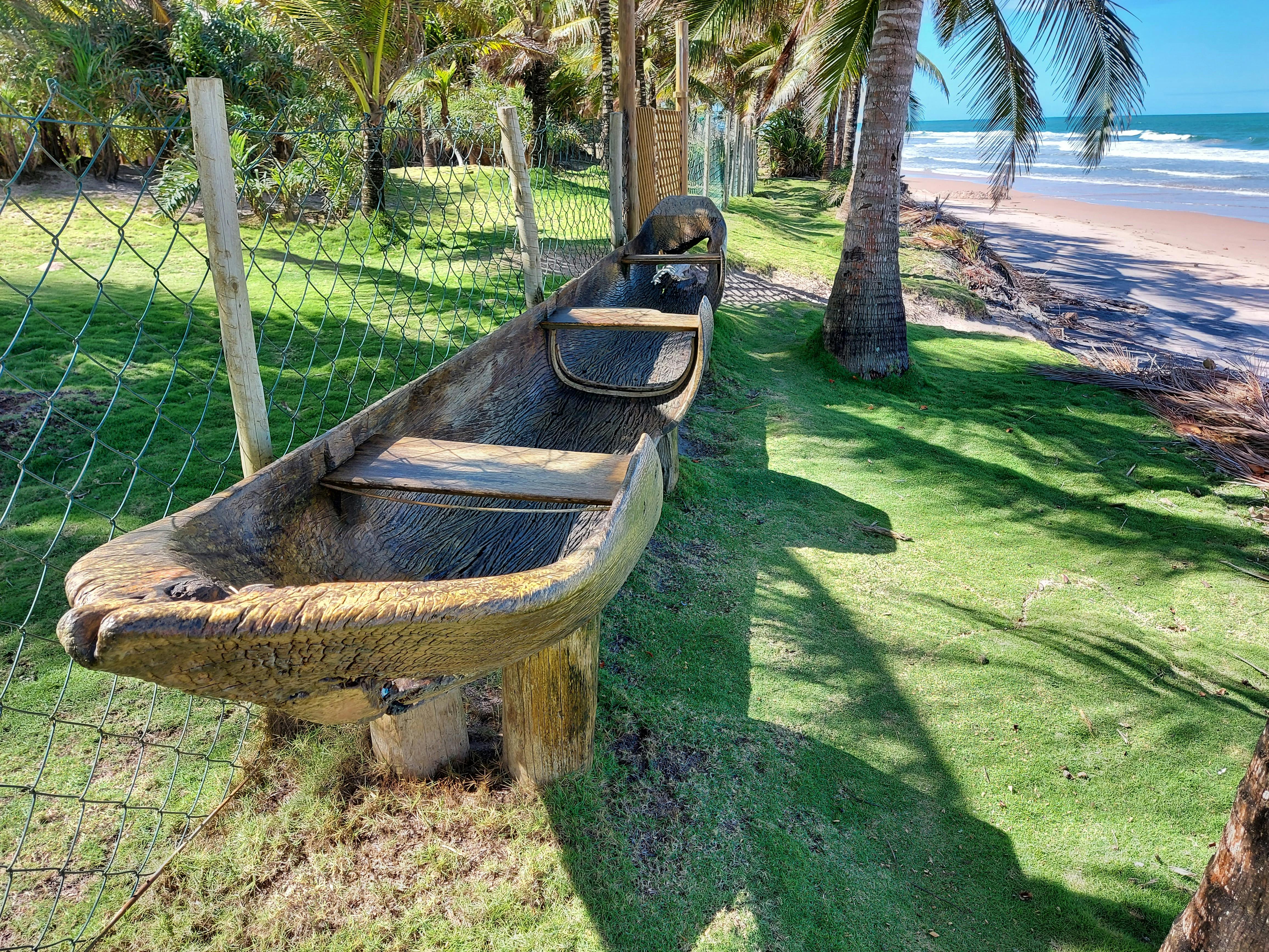 在晴朗的天空下，一艘质朴的木制独木舟静静地停在棕榈树成荫的海滩旁
