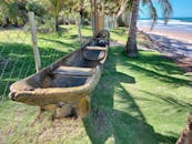 在晴朗的天空下，一艘质朴的木制独木舟静静地停在棕榈树成荫的海滩旁