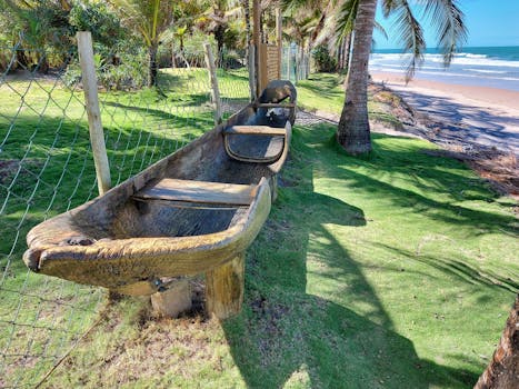 在晴朗的天空下，一艘质朴的木制独木舟静静地停在棕榈树成荫的海滩旁