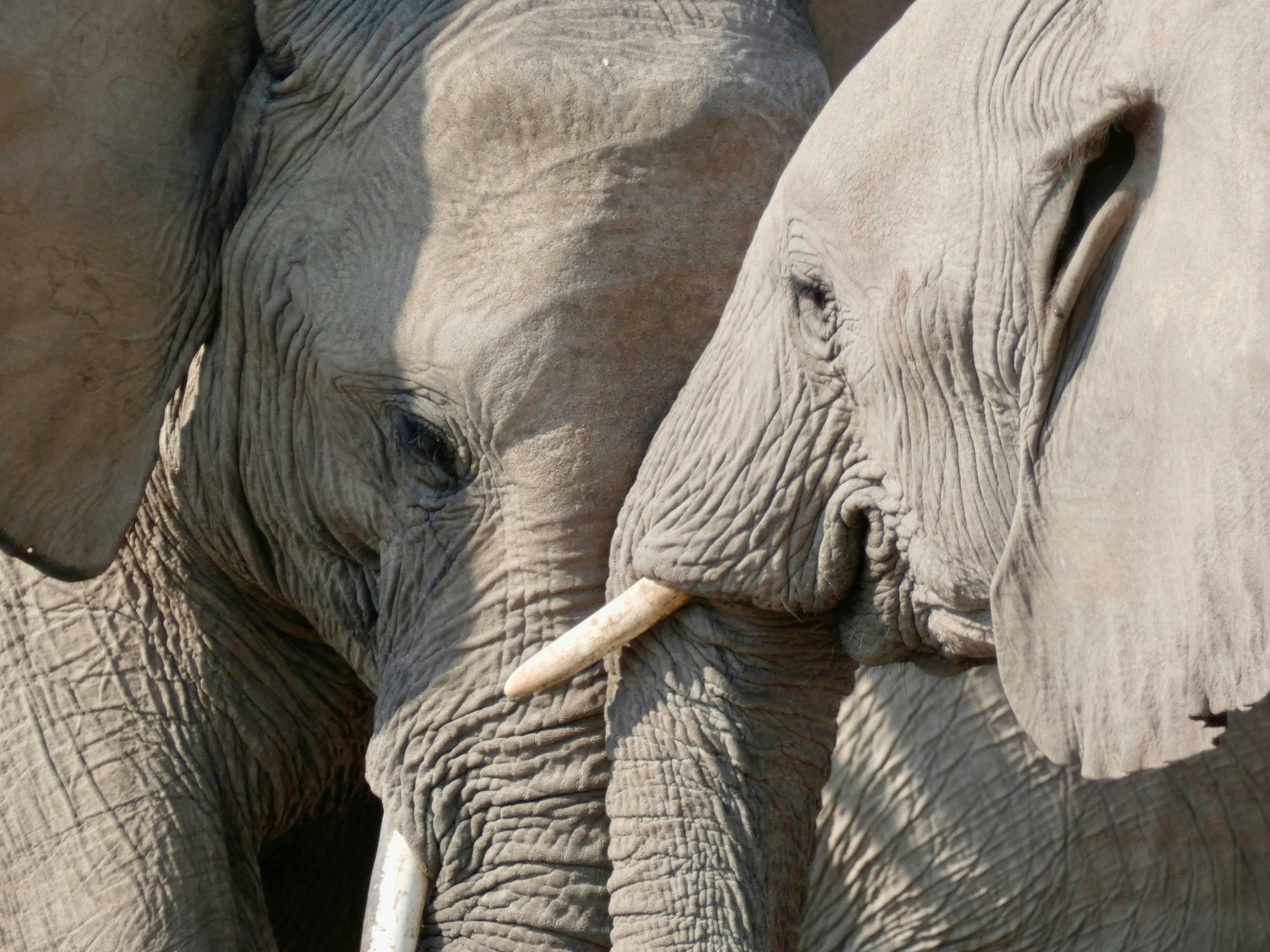 喬姬娜開設YouTube頻道「Georgina Gio」分享時尚與家庭生活，挑