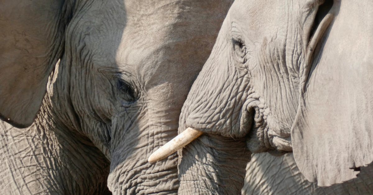 喬姬娜開設YouTube頻道「Georgina Gio」分享時尚與家庭生活,挑