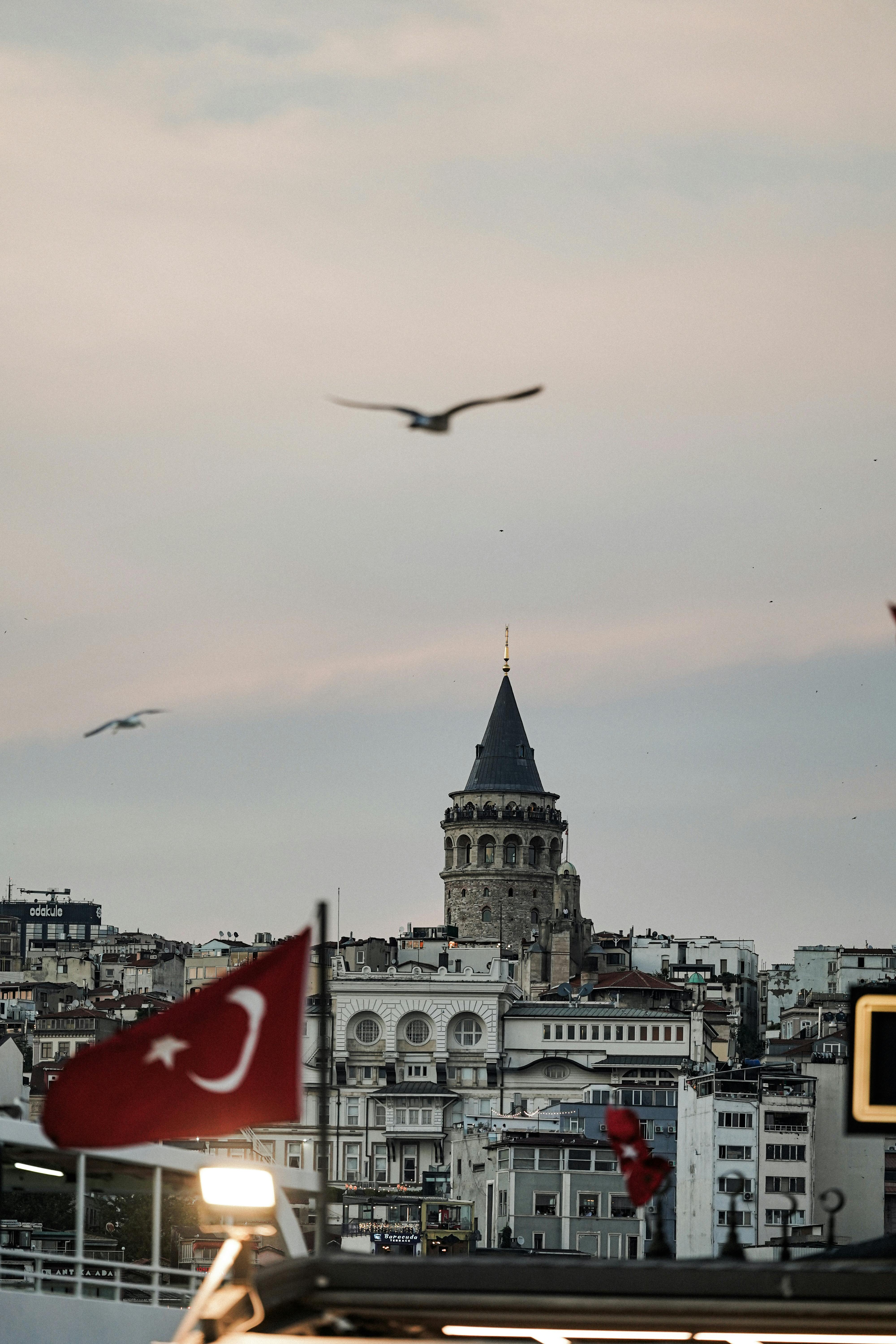 日落时分，加拉塔塔的美景中飘扬着土耳其国旗，海鸥翱翔其间