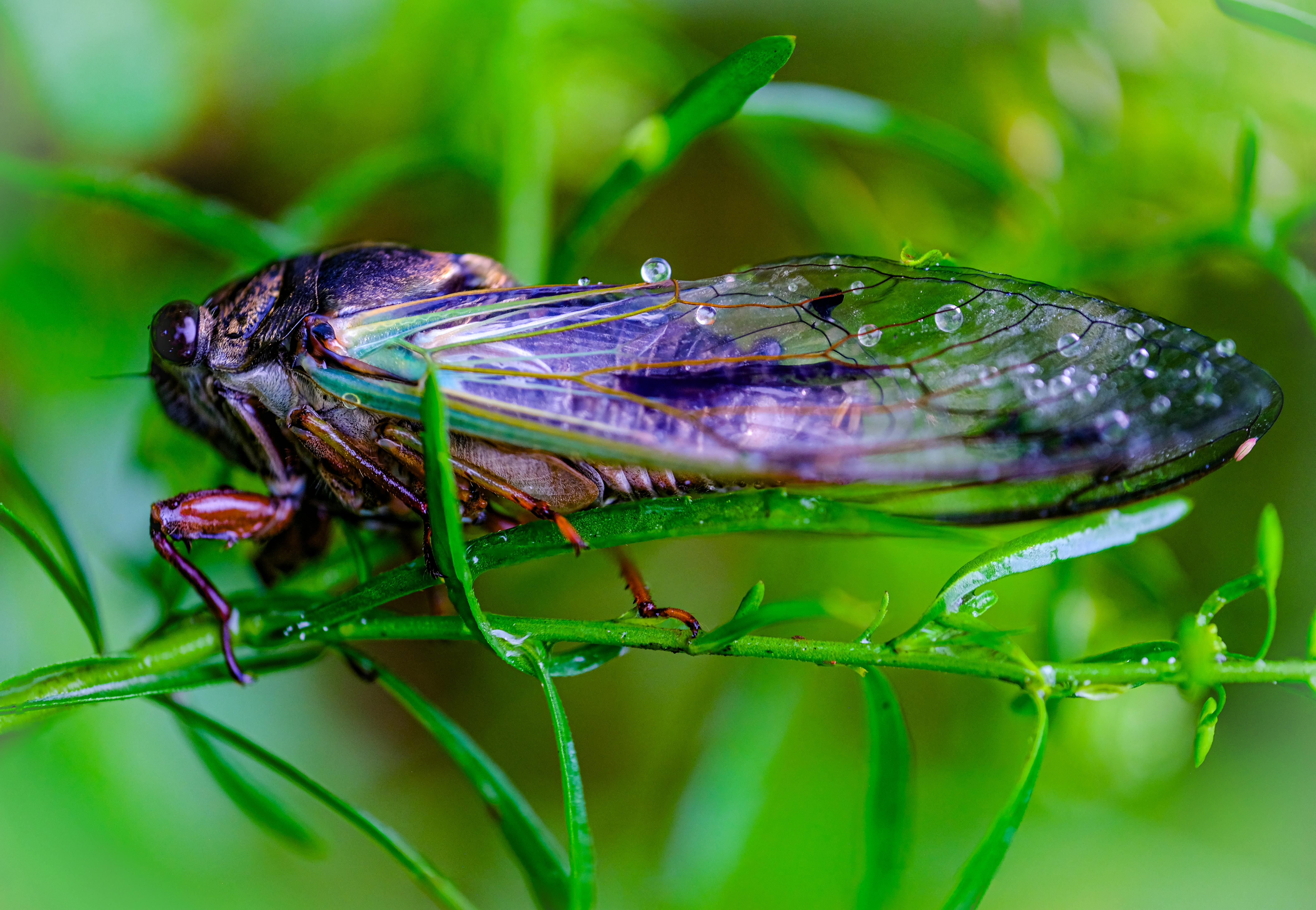 The Palmetto Pipeline: Which SC Online Degrees Are a Direct Path to a Job at BMW, Boeing, and Volvo?