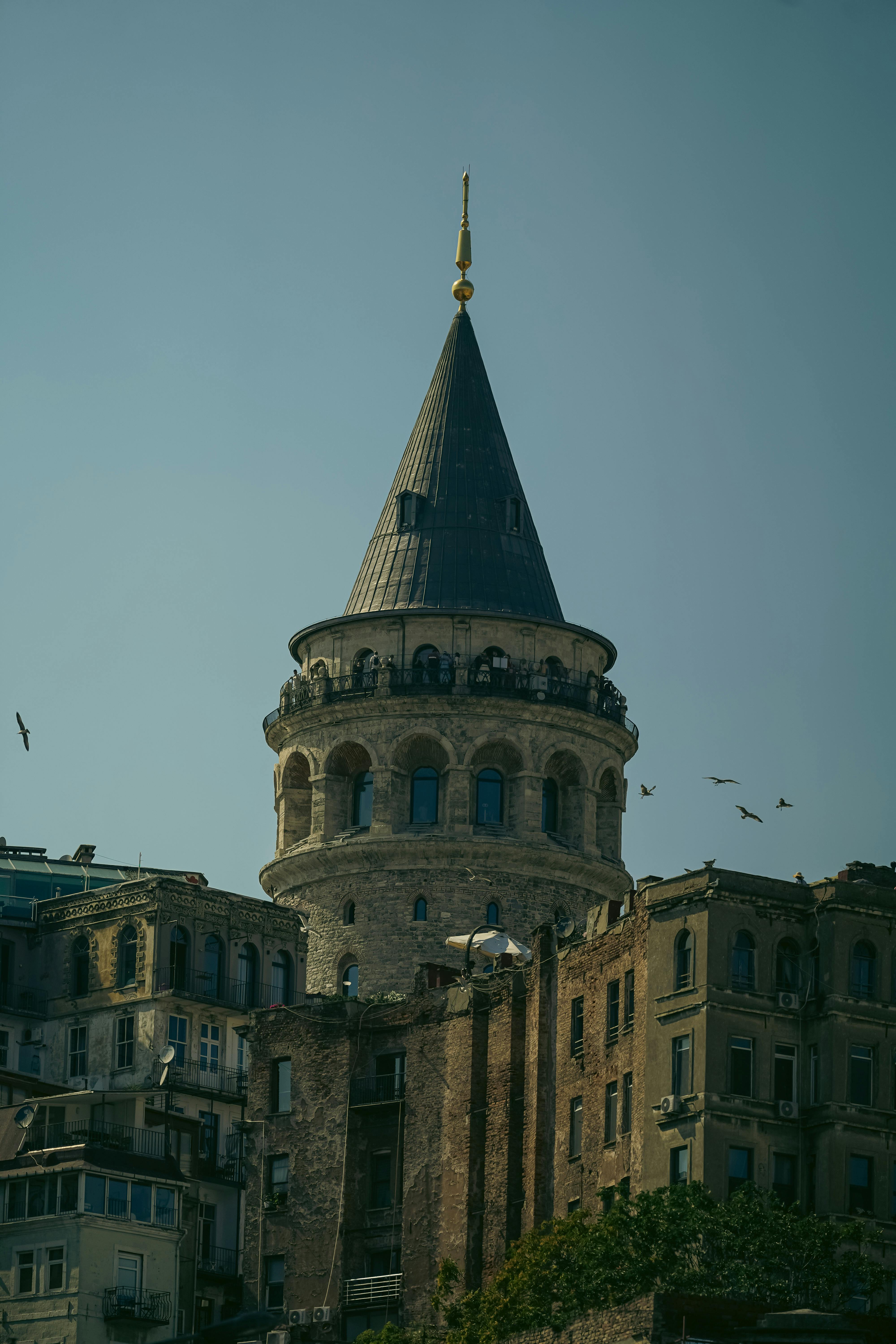 捕捉伊斯坦布尔标志性的加拉塔塔，天空晴朗，鸟语花香