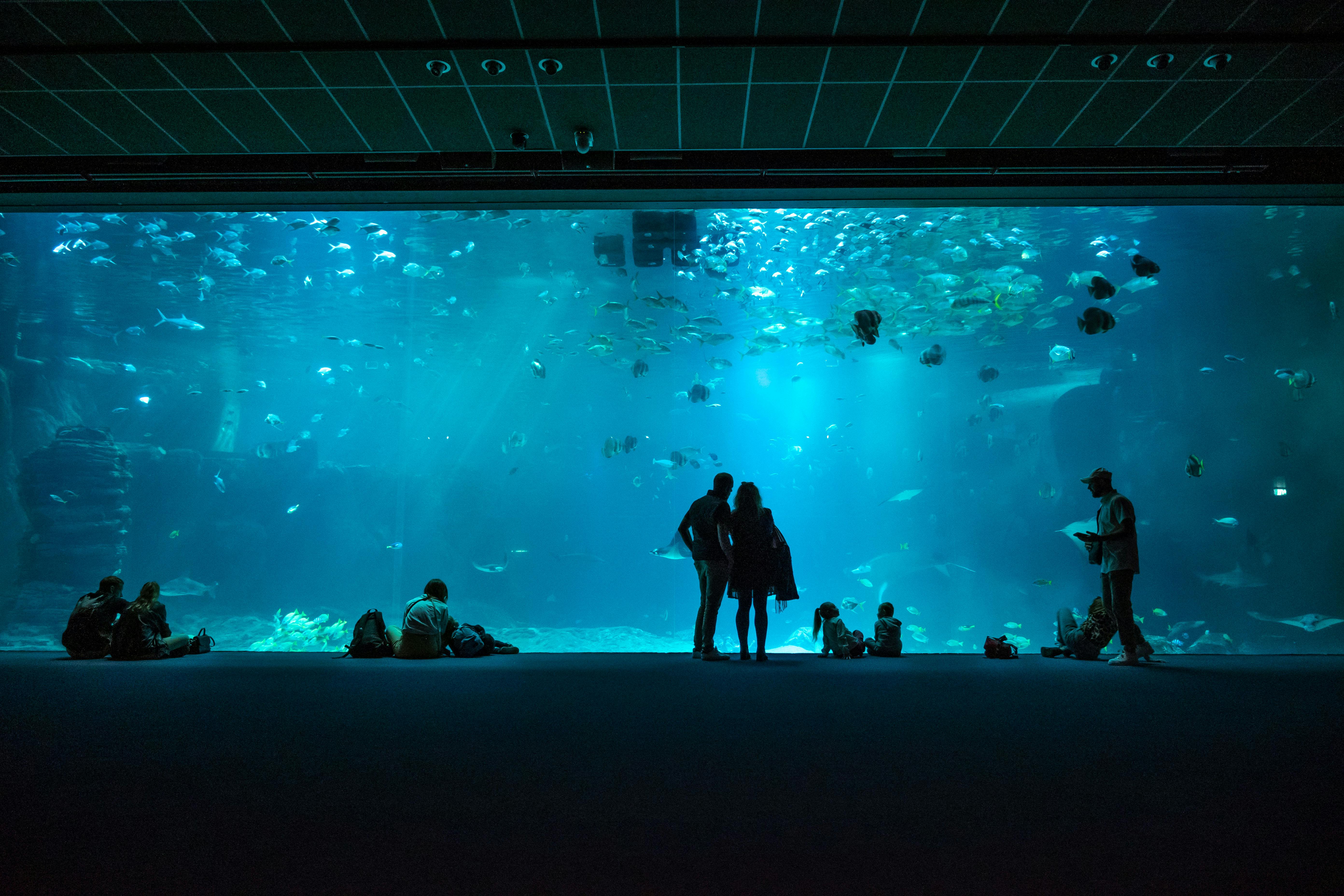 政治：王世堅子弟兵學歷烏龍 從碩士誤成在學生自嘲無需欺騙