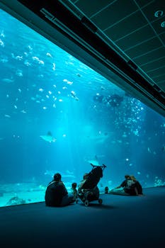 A family with children enjoying an underwater view at a large aquarium in Boulogne-sur-Mer, France.