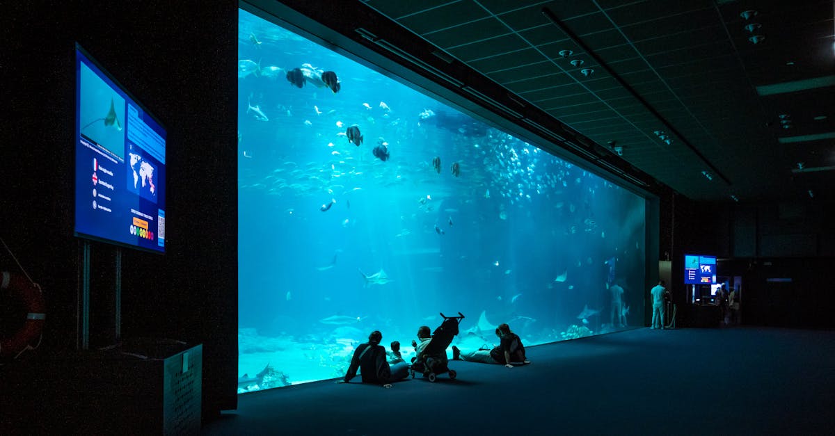 政治:王世堅子弟兵學歷烏龍 從碩士誤成在學生自嘲無需欺騙