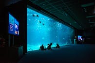 好的，我会按照您的要求进行句子的优化