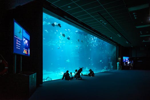 好的，我会按照您的要求进行句子的优化