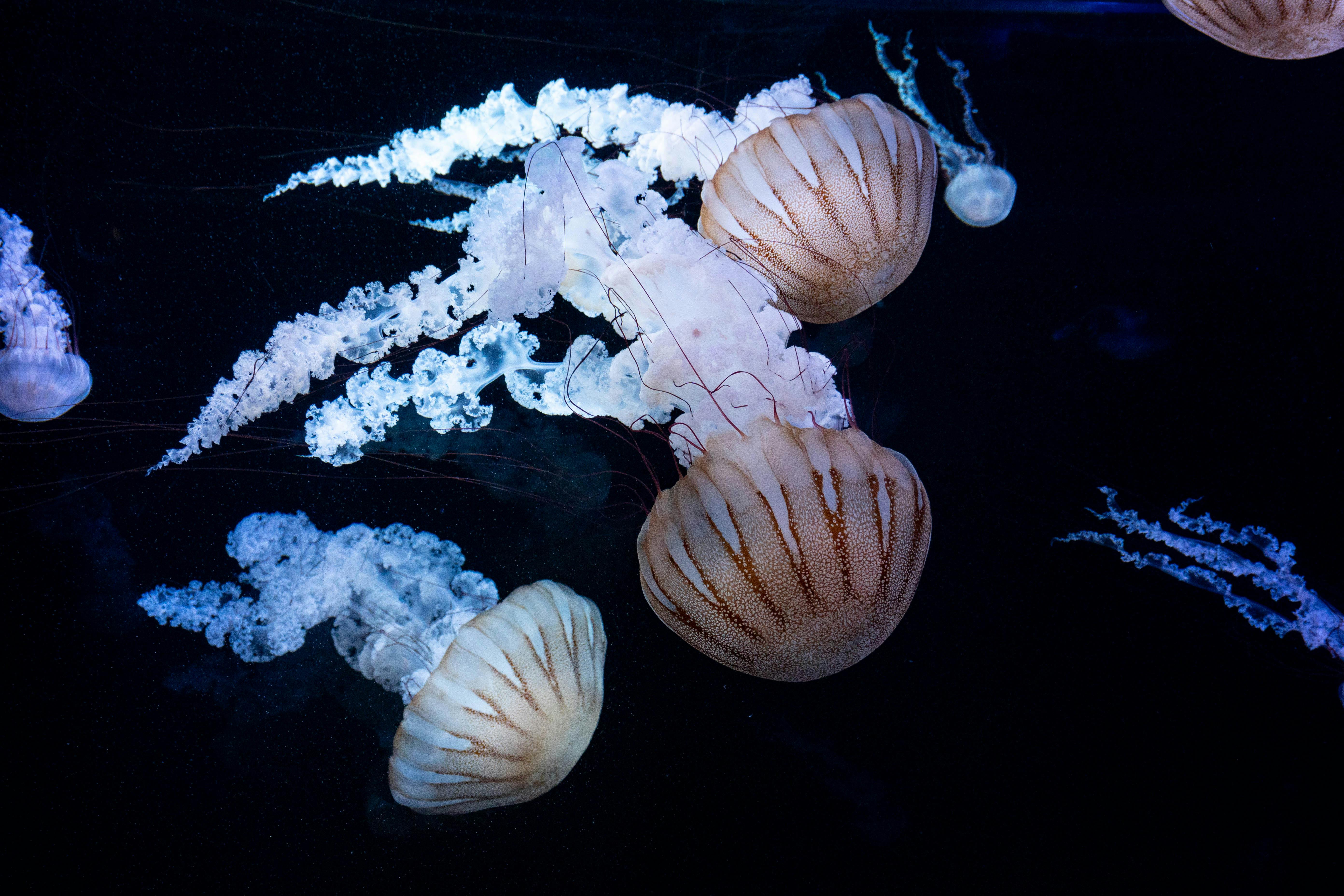 好的，我会按照您的要求进行语句的优化