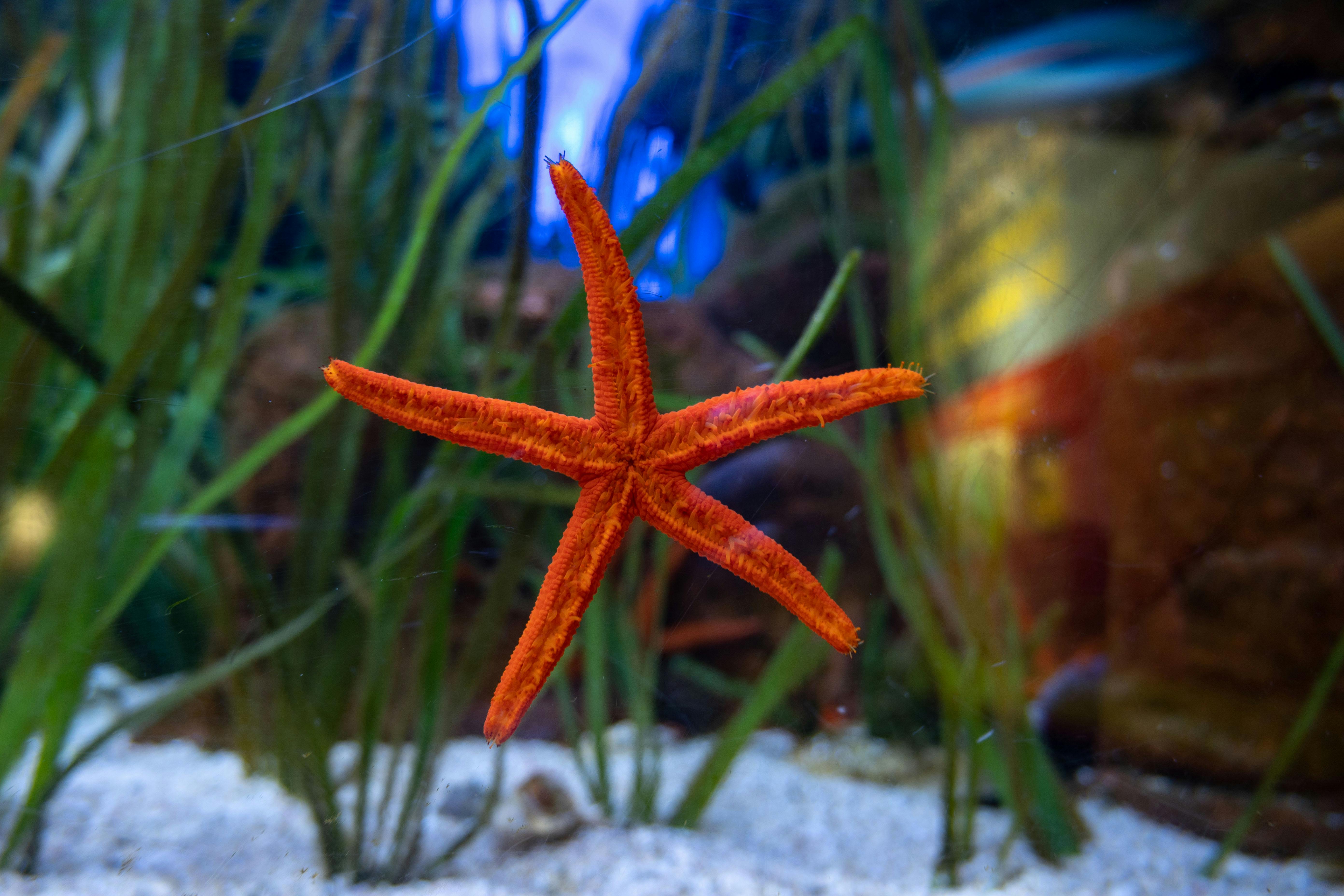 好的，我会按照您的要求进行句子的优化