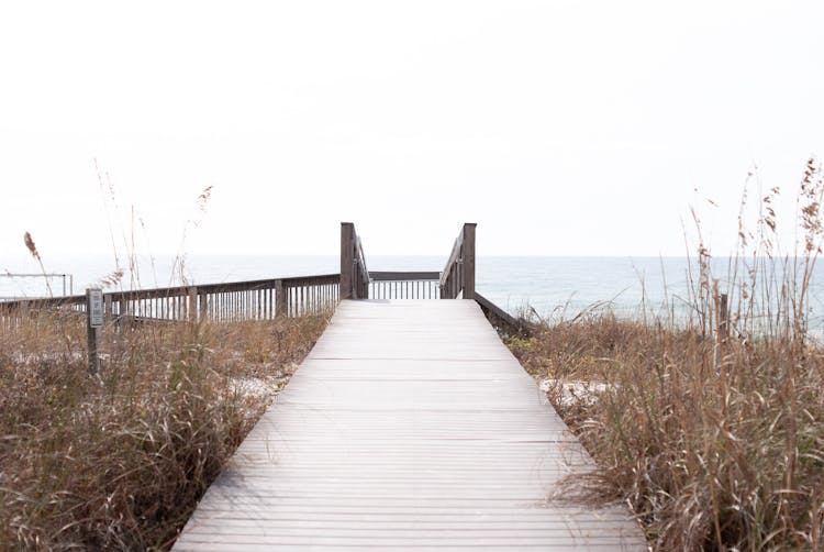 Plank Road To Sea Surrounded By Dry Grass