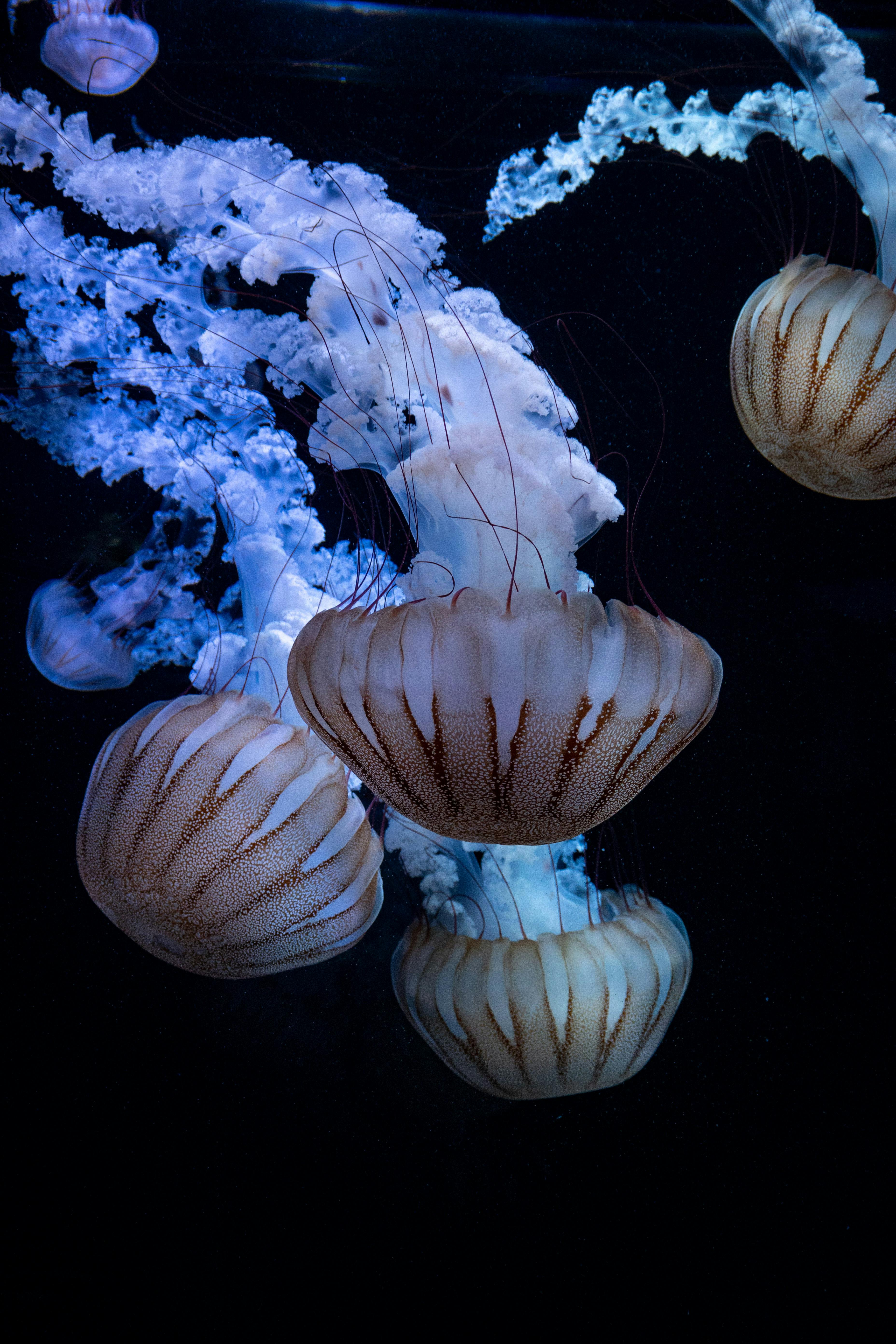 好的，我会按照您的需求进行优化